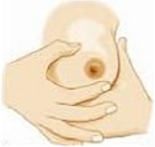 Position you thumb and fingers in a ‘C’ shape about 2-3cm from the base of your nipple