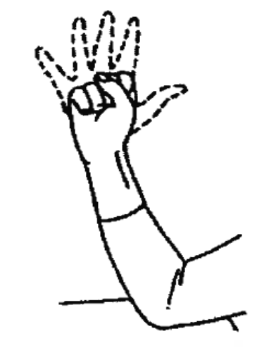 Image of lower arm with hand raised and elbow on flat surface and fingers of hand flexing open and closed