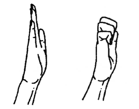 Images demonstrate fingers straight then with knuckles bent with nails pointing down and flat across the top