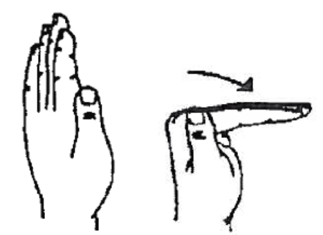 Images demonstrate hand with fingers straight up and then bent from bottom knuckle so fingers are 90 degrees and flat