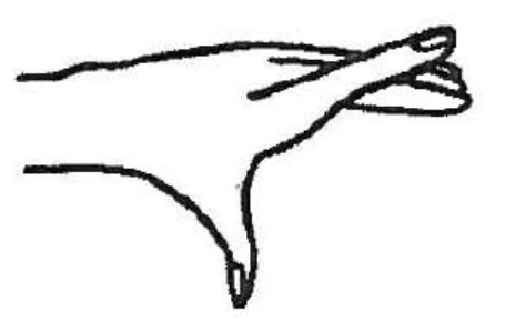 Image demonstrates hand on edge of flat surface, thumb down and fingers being lifted individually