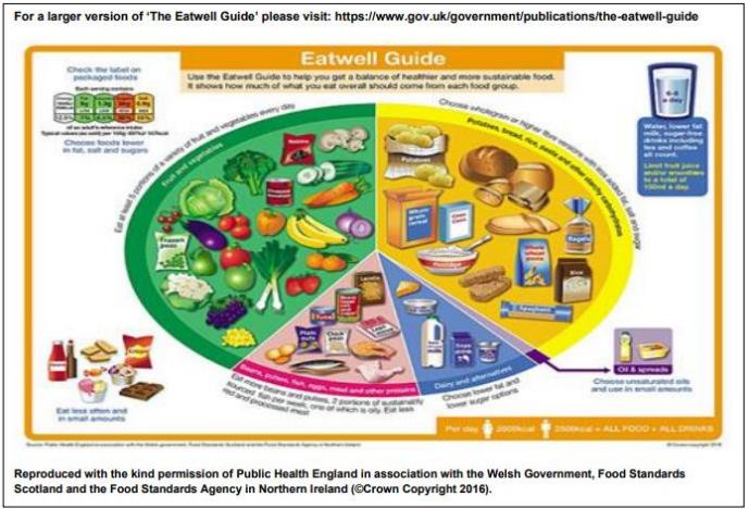 Image of a plate showing percentage of how much of what you eat overall.