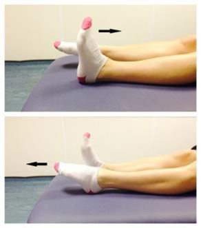 Legs from knee down with toes pointed on one foot and flexed on the other foot