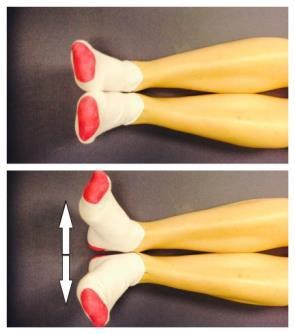 Lower legs with heels and feet together then heels together toes wide to left and right