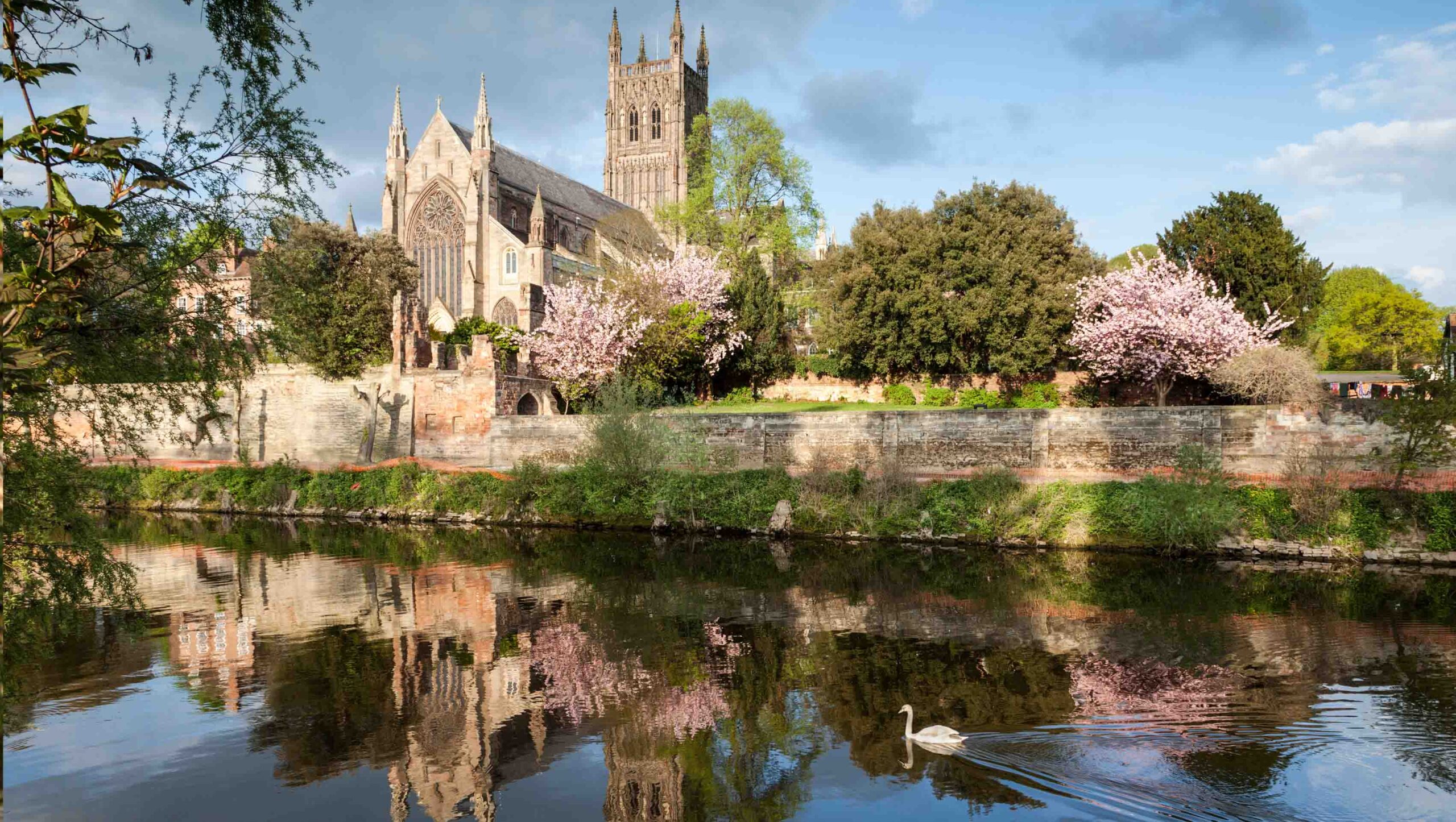 Scenic view of Worcester Cathedral with the River Severn in the foreground. Swans are swimming on the river, and trees, including a pink blossom tree, are visible in the cathedral gardens along the riverbank.