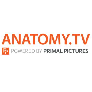 Image: Anatomy.TV logo