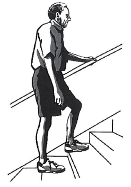 Picture of a person on the stairs holding the rail