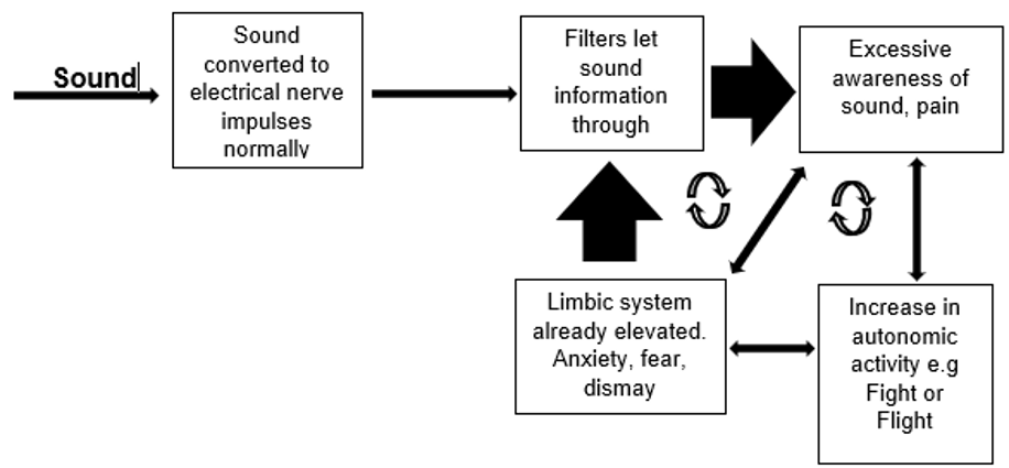 A diagram illustrating the filtering system of sound