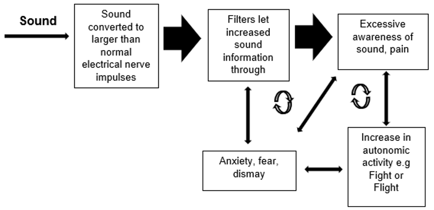 A diagram illustrating the filtering system of sound