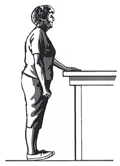 Picture of a person standing next to a table, holding onto the surface with one hand whilst coming down onto the heels