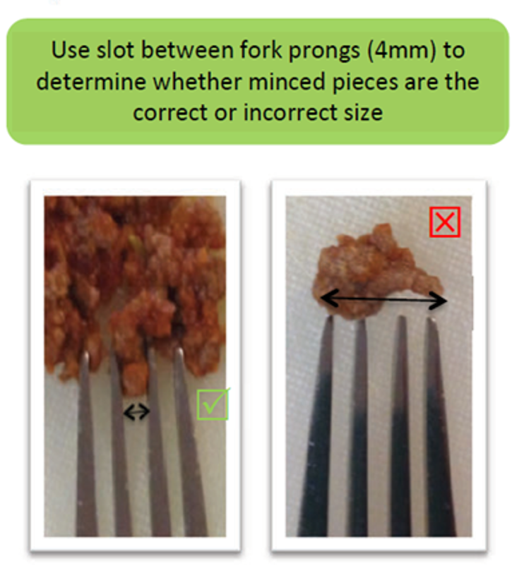 A photograph to illustrate using the slot of a fork to determine whether minced pieces are the correct or incorrect size